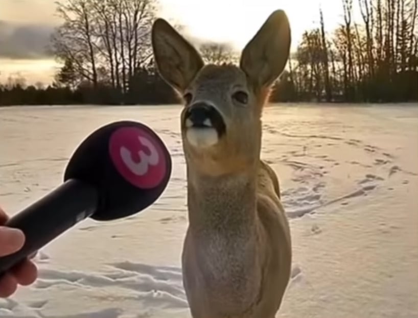 What does this Image make you feel?