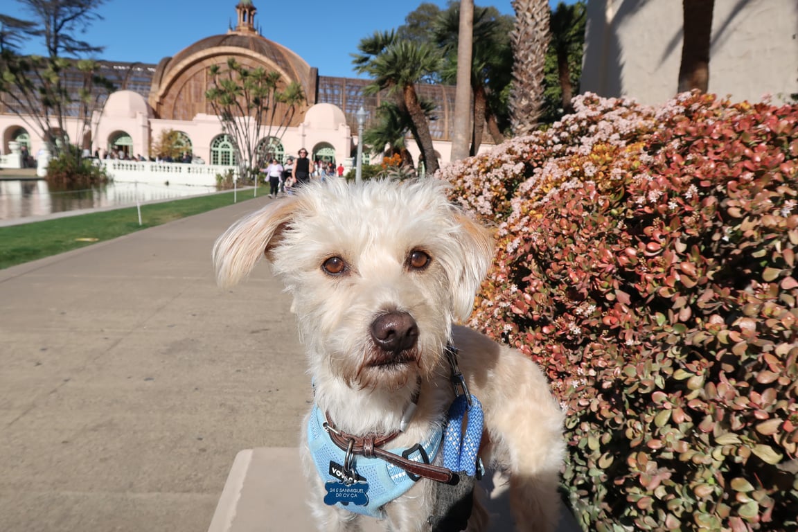 Has anyone checked out the new botanical garden in Balboa Park? 