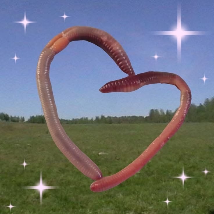 Would you REALLY care for your partner if they turned into a worm? 🪱