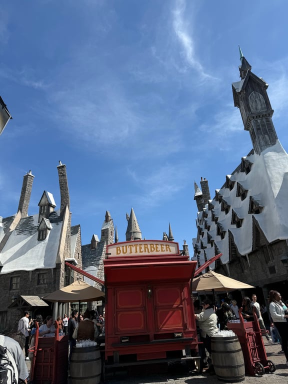 Universal trip or day at Disney?