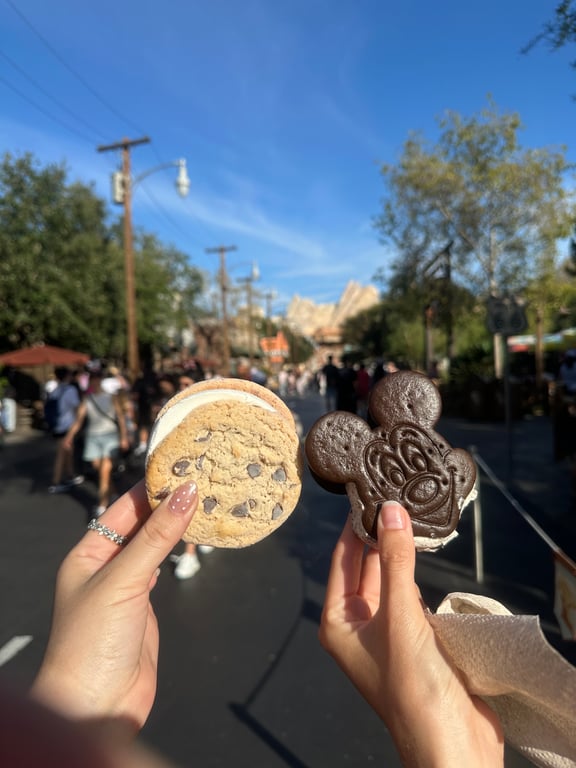 What are your thoughts on Disney snacks?