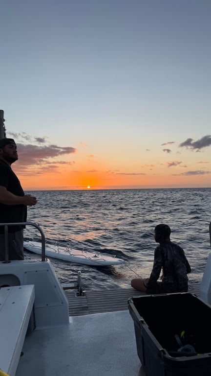 Would you ever swim in the ocean at night?