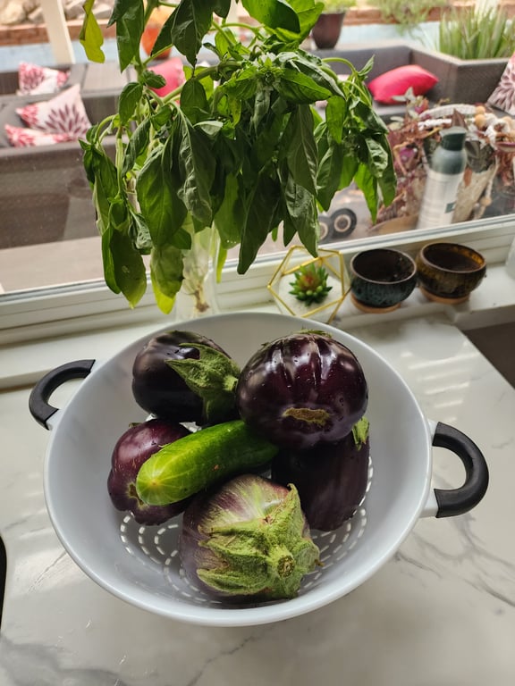 Garden flex: Who needs a grocery store when you have homegrown perfection. What your favorite Eggplant dish?