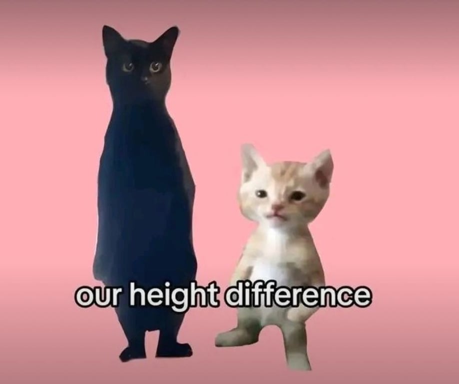 Would you date someone shorter than you?