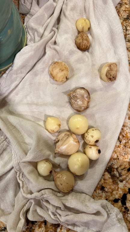 What should I make with my home grown garlic 🧄 
