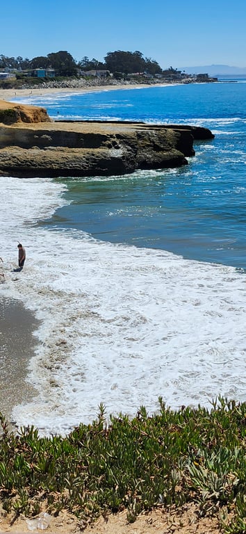 Which do you rather at a beach?