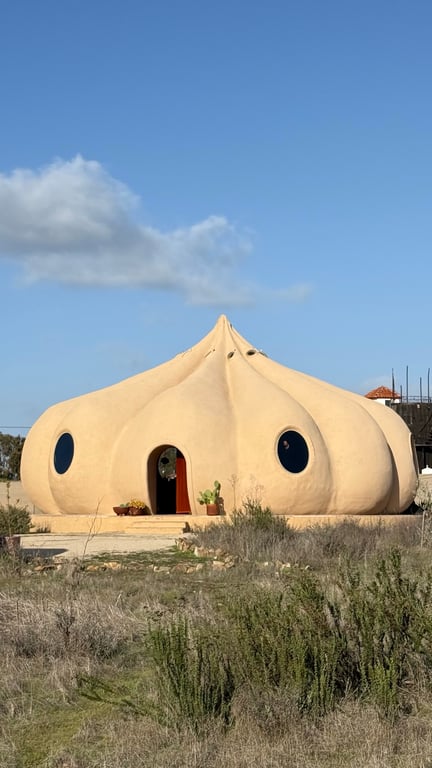 Settle the debate: is this building an onion or garlic?