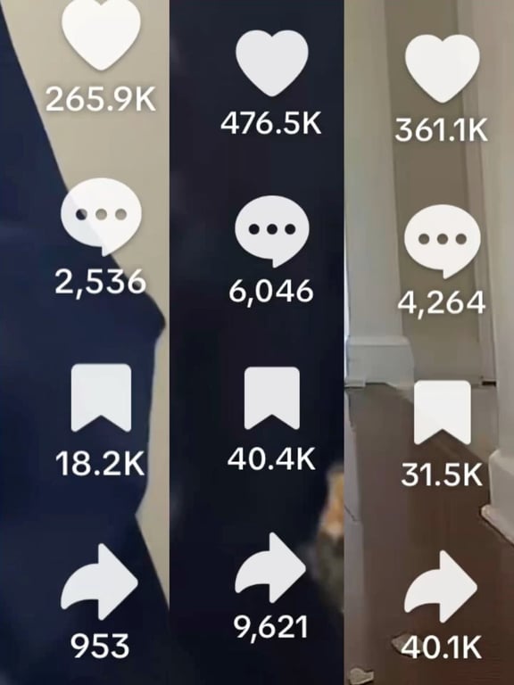 Would you date someone who has 100k+ followers on Tik Tok?