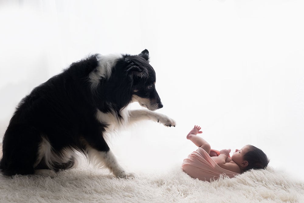 Do you think couples should experience raising a dog together before they have kids together?