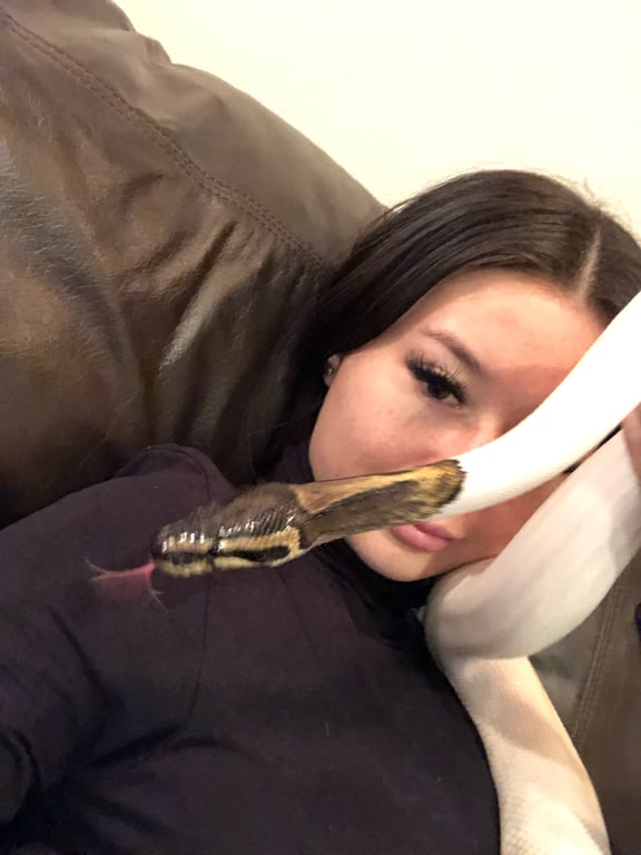 Would you have a snake as a pet? 🐍