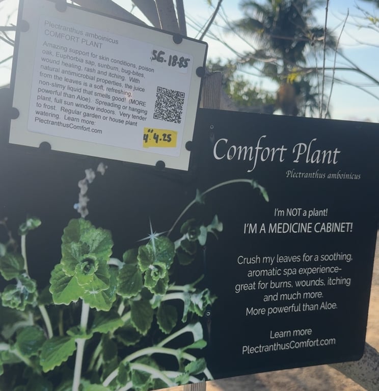 I saw this sign for this supposed plant that cures all. I need to know if anyone has tried this and it works… or literal BS