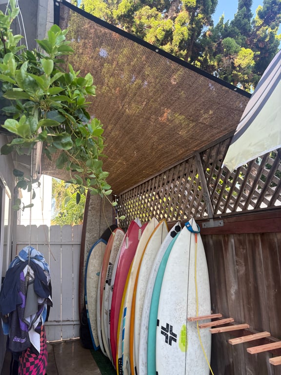 thoughts on hanging plants
