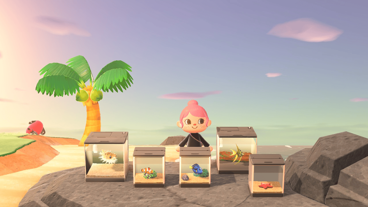 Do you think playing Animal Crossing is fun or boring?