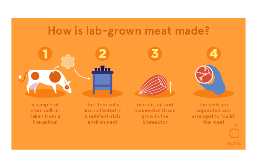 Is lab-grown meat...
