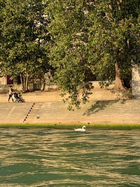I heard the Seine is open for swimming…would you do it??