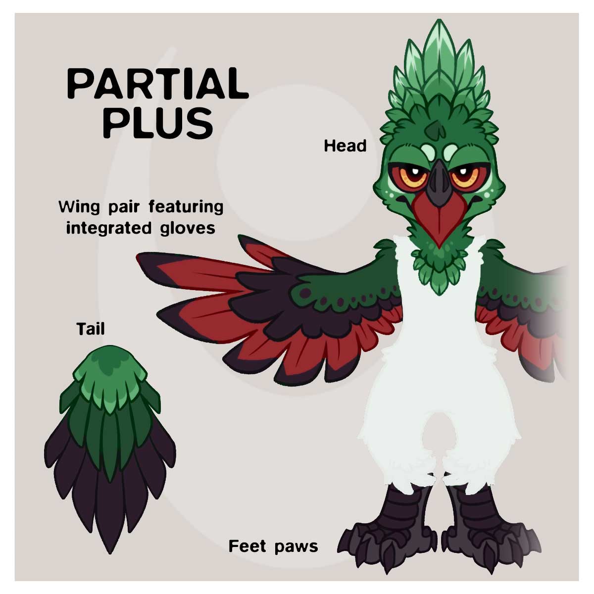 SPLASH, Fursuit à adopter, Turaco Enchanteur et Gardien de la Forêt - Image 6