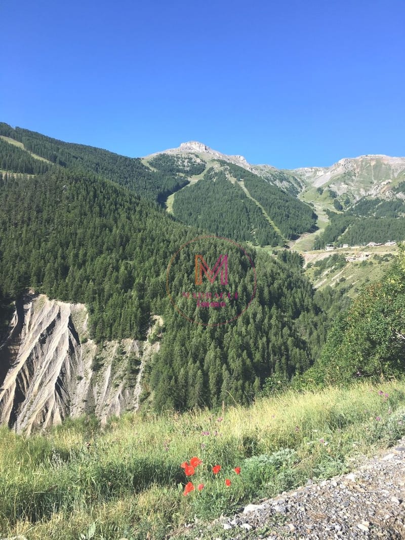 Appartement à Auron — photo 13