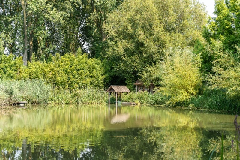 Silly - Domaine avec dépendances et parc de 5 ha — photo 15