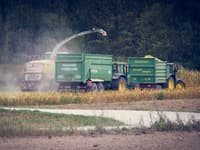 Harvesting services. Combine services. Combine rental — image 4