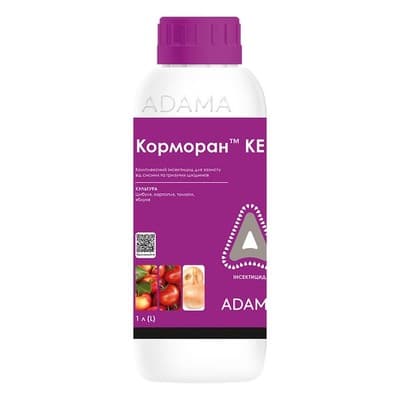 Корморан