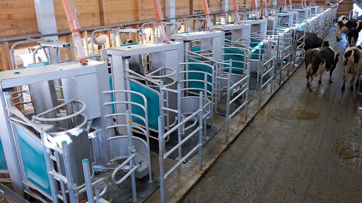 Обладнання доїльного залу GEA DairyRobot R9650