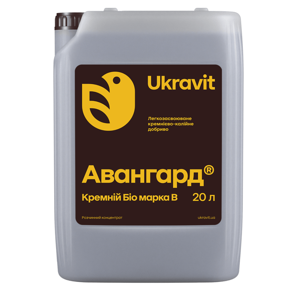 Авангард Кремній Біо, марка B