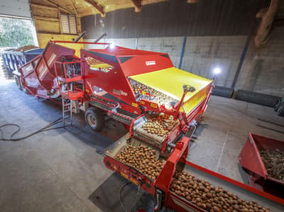 Potato conveyor GRIMME RH 24 MultiSep