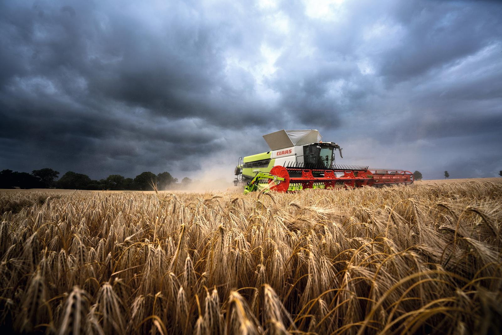 Зернозбиральний комбайн CLAAS LEXION 8700