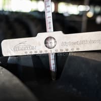 Uniglory шина IF 600/70R28 CFO 164D Smartagro Cruizer TL — зображення 8