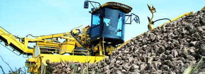 Beet cleaner loader ROPA euro-Maus 3