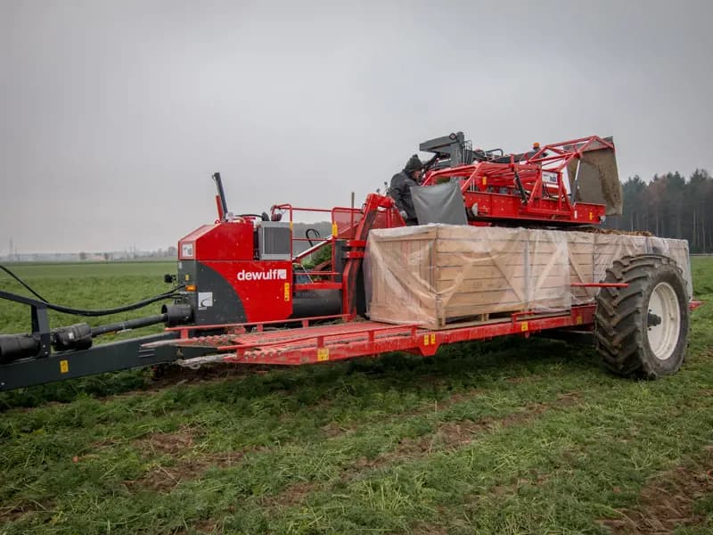 Beet harvester Dewulf GCCI