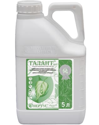 Talant
