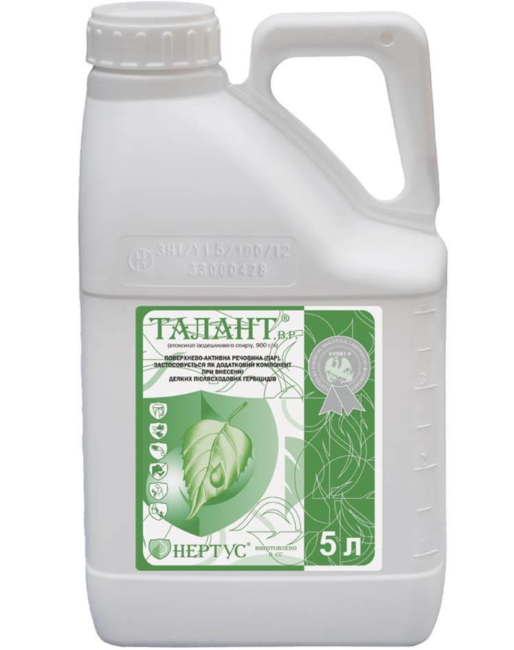 Талант
