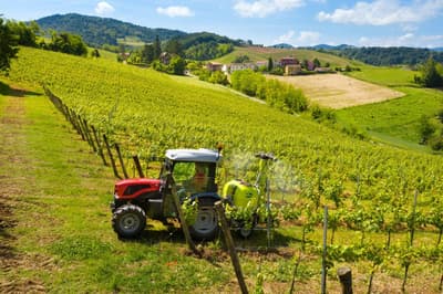 Compact tractor SAME Delfino 50 BASSO