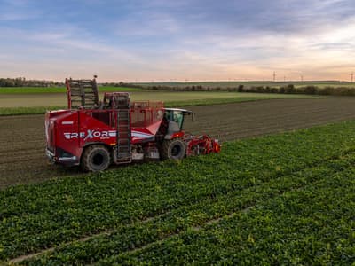 Beet harvester GRIMME REXOR 6200