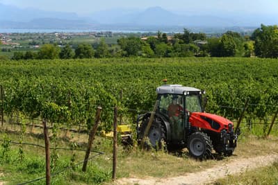 Orchard tractor SAME Frutteto 80 Classic
