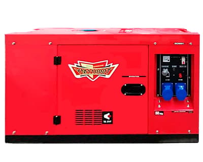 Дизельний генератор wecan YM11000TD