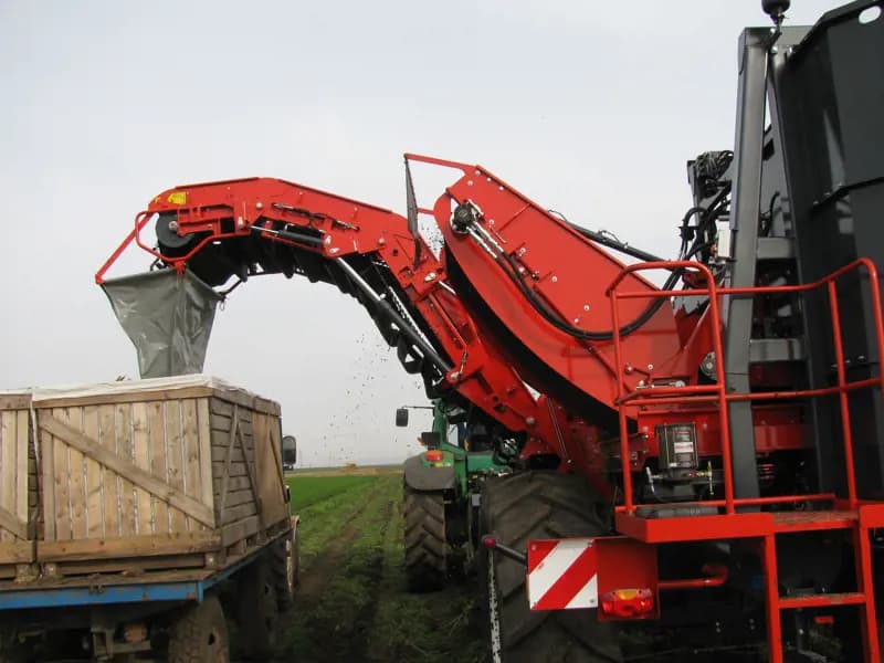 Beet harvester Dewulf GKIISE