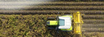 Haulm topper ROPA KS 475 / KS 490