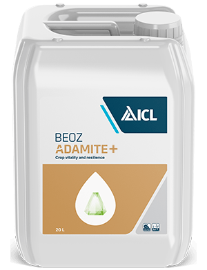 Adamite+