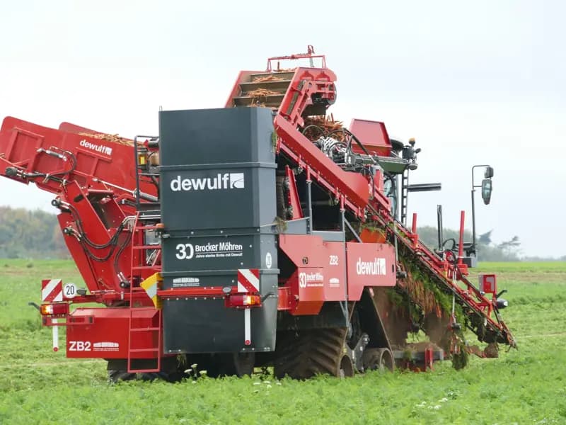 Beet harvester Dewulf ZB2