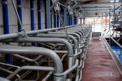Parlor equipment DeLaval P100