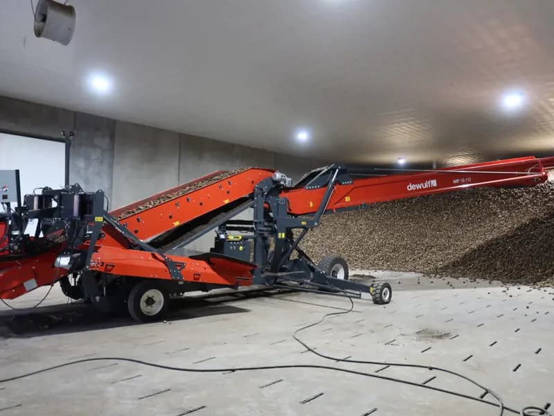 Potato conveyor Dewulf MP 18-110