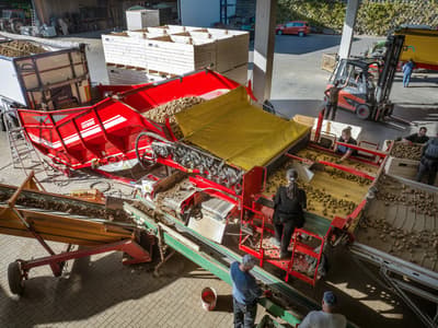 Potato conveyor GRIMME RH 24 XT