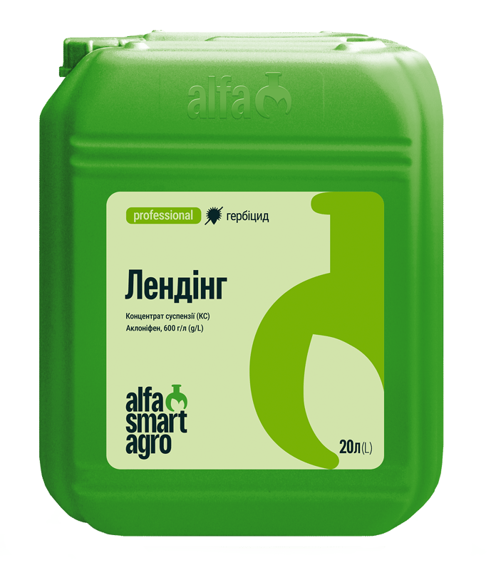 Лендінг
