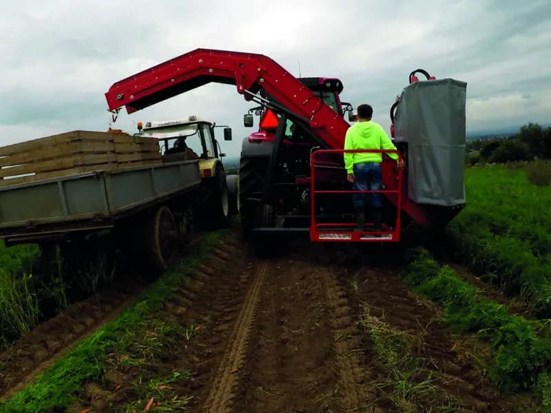 Beet harvester Dewulf P3K Farmer