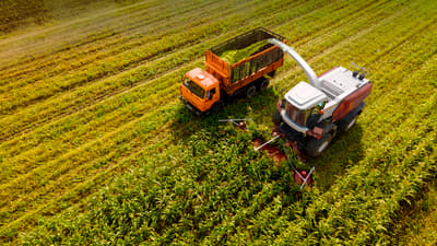 Forage harvester Rostselmash RSM F 1500