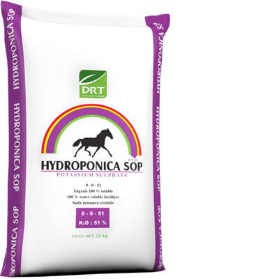 Hydroponica SOP