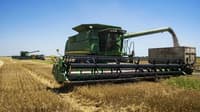 Harvesting services. Combine services. Combine rental — image 3