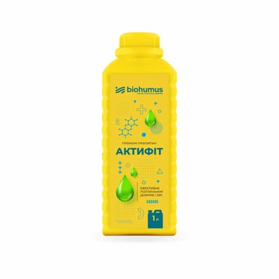 Aktifit Adhesive